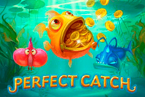 Perfect Catch